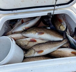 Fishing in Gulfport, Mississippi