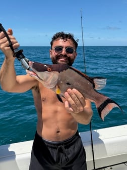 Fishing in Tarpon Springs, Florida