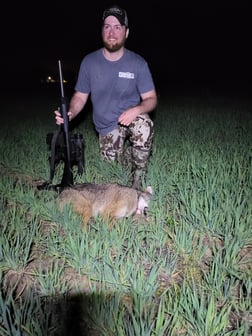 Hunting in Altha, Florida