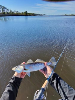 Fishing in Panama City Beach, Florida
