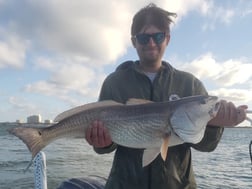 Redfish Fishing in New Smyrna Beach, Florida