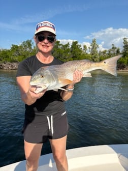 Fishing in Bokeelia, Florida