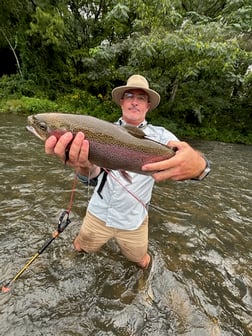 Fishing in Broken Bow, Oklahoma