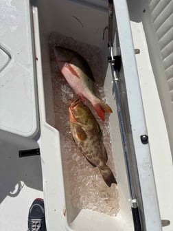 Fishing in Stock Island, Florida