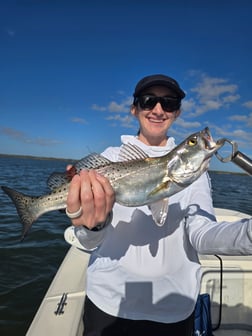 Fishing in New Smyrna Beach, Florida