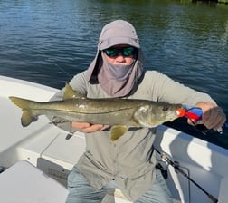 Fishing in St. Petersburg, Florida