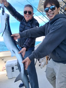 Fishing in Dana Point, California