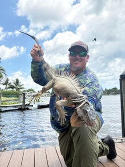 Fishing in West Palm Beach, Florida