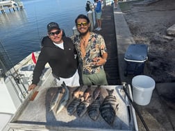 Fishing in Bradenton, Florida