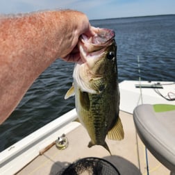 Fishing in Alba, Texas