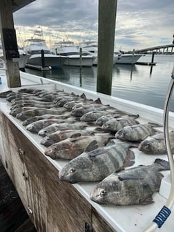 Fishing in Beaufort, North Carolina
