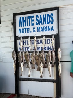 Fishing in Port Isabel, Texas
