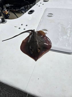 Fishing in Santa Rosa Beach, Florida