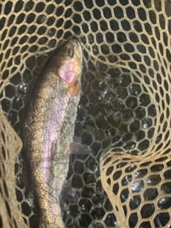 Fishing in Broken Bow, Oklahoma