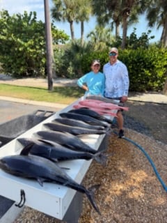 Fishing in Sarasota, Florida