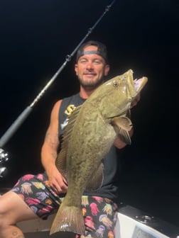 Fishing in St. Petersburg, Florida