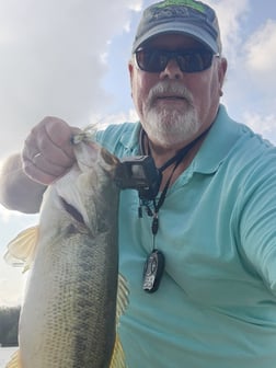 Fishing in Alba, Texas