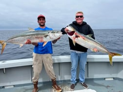Fishing in Marina del Rey, California