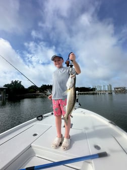 Fishing in Pensacola Beach, Florida