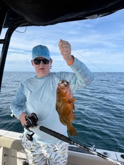 Fishing in Panama City, Florida