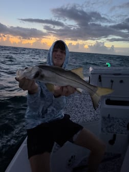 Fishing in New Smyrna Beach, Florida