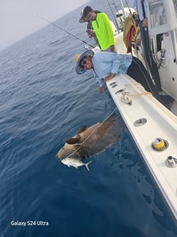 Fishing in St. Petersburg, Florida