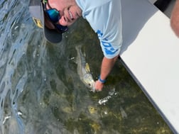 Fishing in Islamorada, Florida