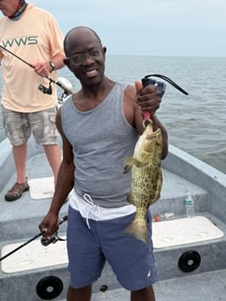 Fishing in Crystal River, Florida