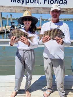 Fishing in Jacksonville, Florida