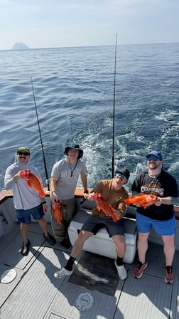 Fishing in San Diego, California