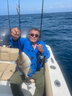 Fishing in Niceville, Florida