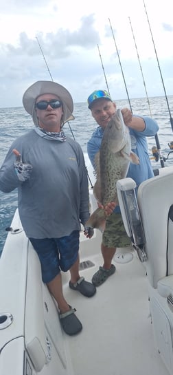 Fishing in Sarasota, Florida