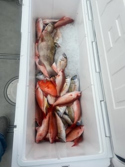 Fishing in Panama City Beach, Florida