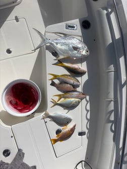 Fishing in Key Largo, Florida