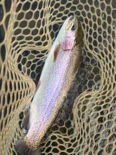 Fishing in Broken Bow, Oklahoma