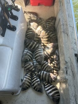 Fishing in St. Augustine, Florida