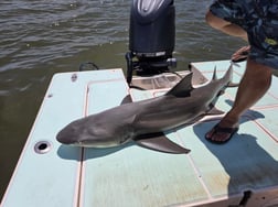 Fishing in Naples, Florida