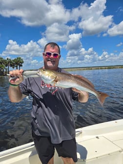 Fishing in Crawfordville, Florida