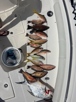 Fishing in Key Largo, Florida