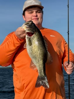 Fishing in Athens, Texas