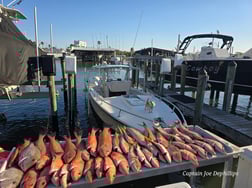 Fishing in Gulfport, Florida