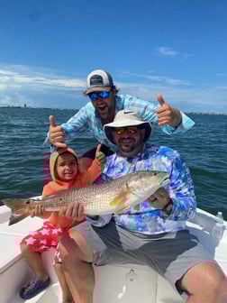 Redfish fishing in Sarasota, Florida