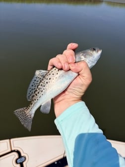 Fishing in Fernandina Beach, Florida