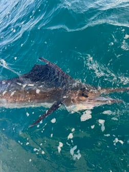 Fishing in St. Augustine, Florida