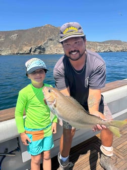 Fishing in San Diego, California