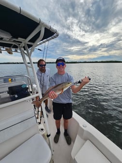 Fishing in Sarasota, Florida