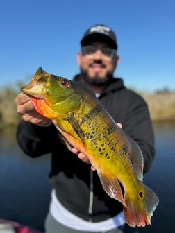 Fishing in Fort Lauderdale, Florida