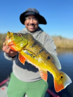 Fishing in Fort Lauderdale, Florida