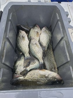 Fishing in Broken Bow, Oklahoma