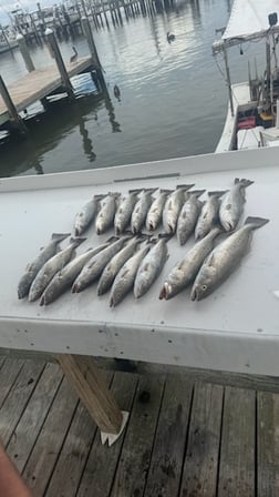 Fishing in Gulf Shores, Alabama